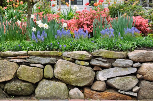 Stone Wall Hardscaping in Seattle
